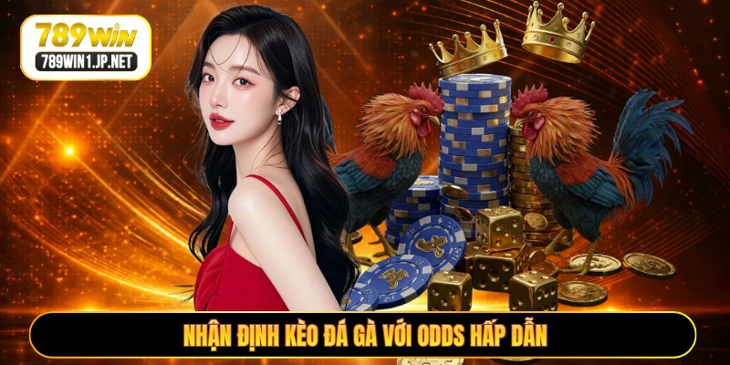 Nhận định kèo đá gà với odds hấp dẫn Nhận định kèo đá gà với odds hấp dẫn